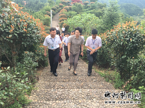 乌兰调研桂东脱贫攻坚工作:下足绣花功夫 确保