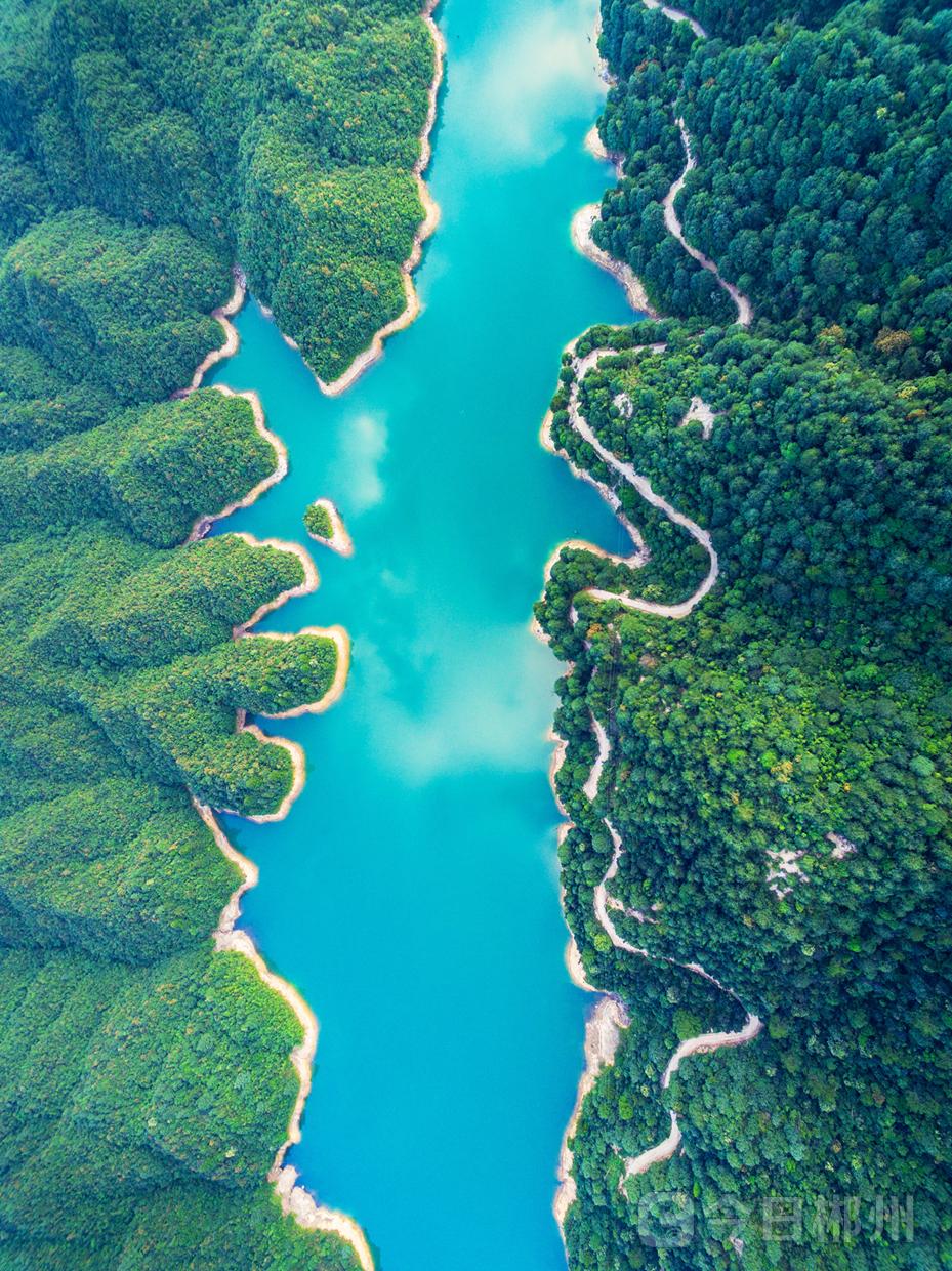 【深度调查】你造吗?莽山旅游文化圈是个什