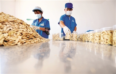 郴州市桂阳县那个镇最大人口多_郴州市桂阳县朱文斌(2)