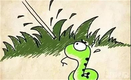 孕期49天，梦遇小男孩与蛇的寓言——解梦之旅