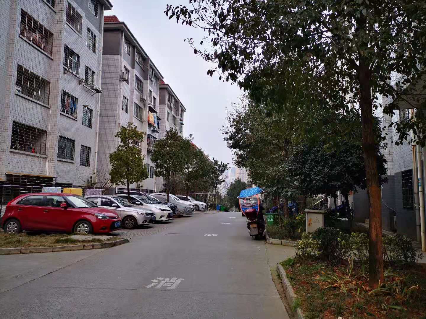公租房小区变了样