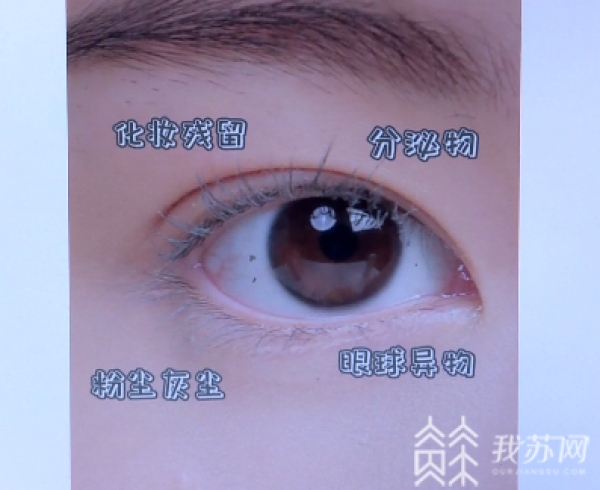 1e807570-01da-401a-bc84-601143db1eb5.jpg