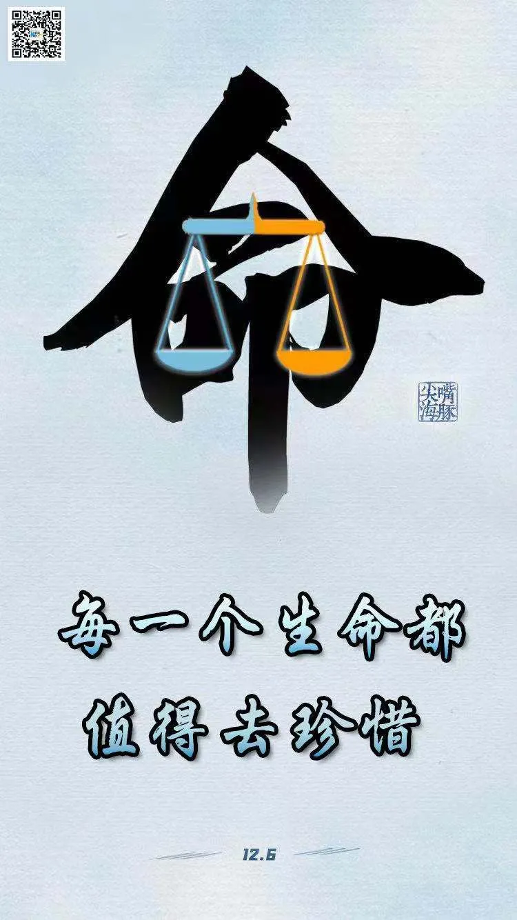 每一个生命都值得去珍惜