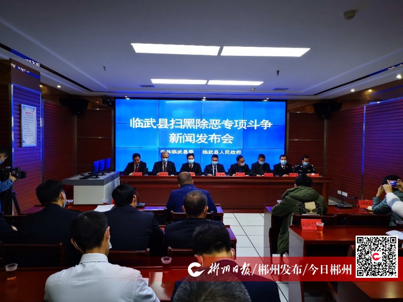 临武三年摧毁11个涉恶犯罪团伙集团