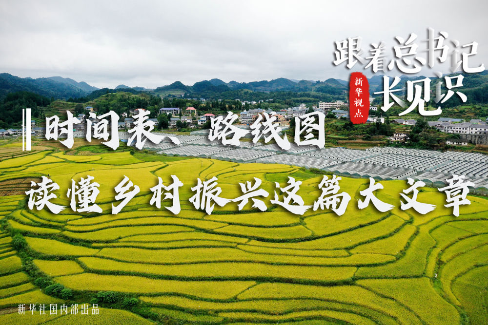 乡村振兴面临人口流失挑战_乡村振兴图片