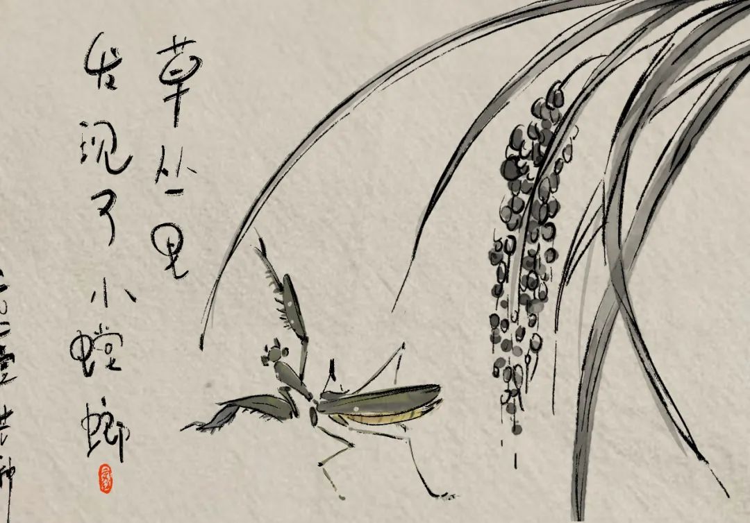 手绘丨芒种时节忙有所得