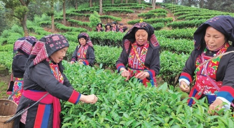 又见湘赣红