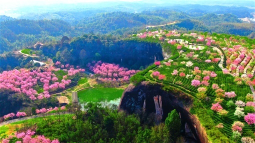 湖南日报观察头条丨郴州，一个有花的地方