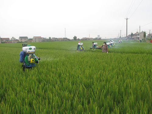 "绿色植保"理念在江苏省农作物病虫害防治中的实践与思考
