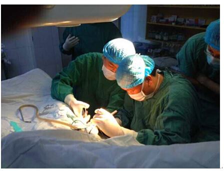 骨科刘鸿程主任正在进行手术