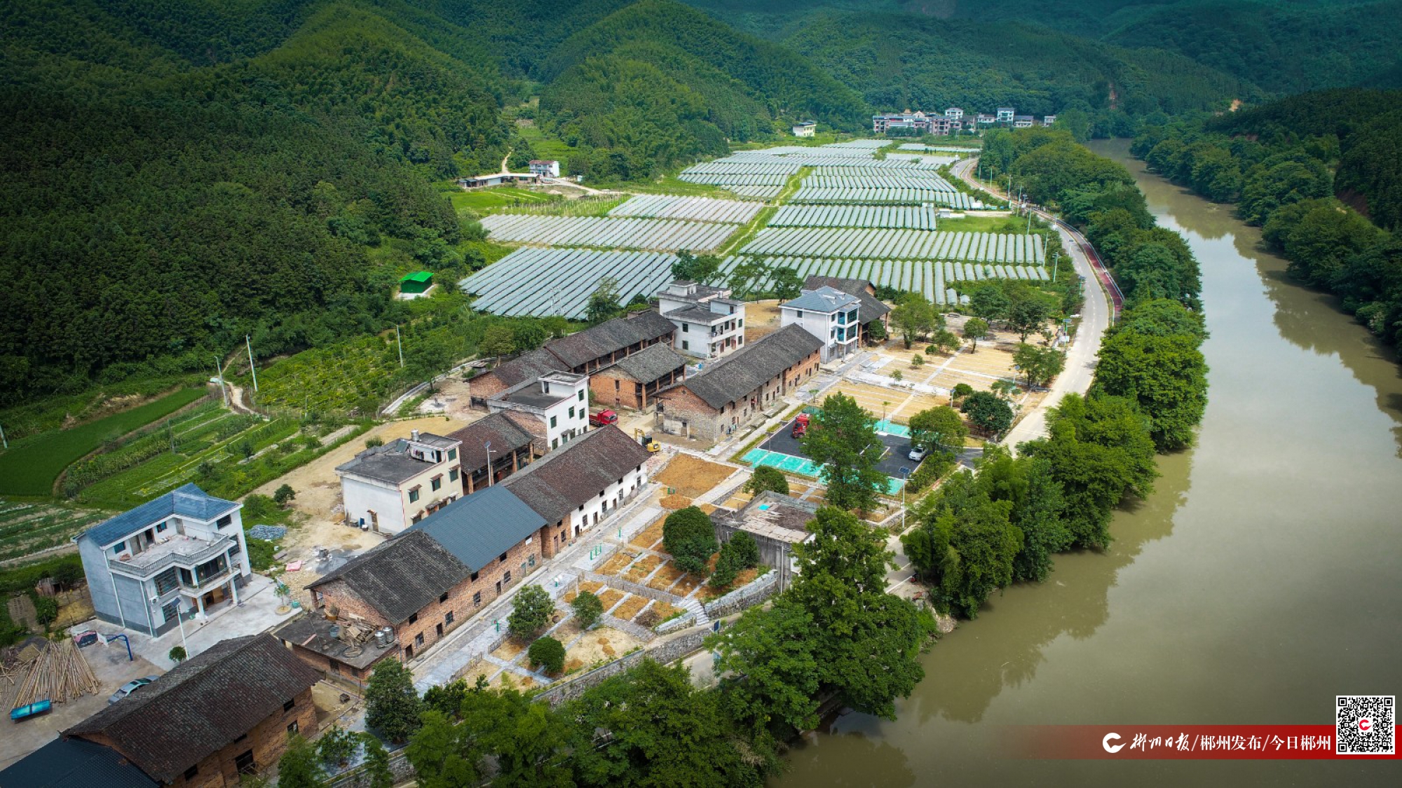 郴州新闻网-首页