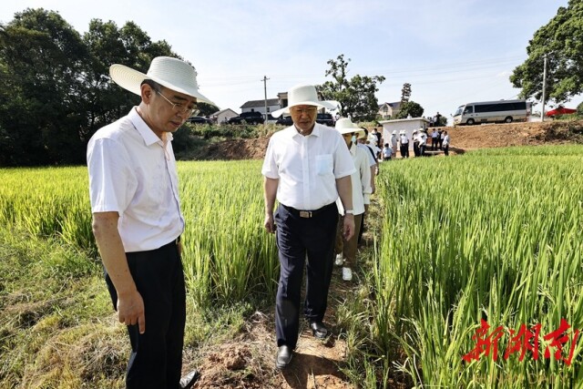 毛伟明：以保水为关键 以保收为目标 全力以赴做好抗旱救灾工作