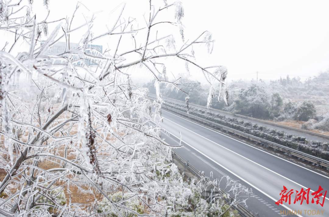 545.png?x-oss-process=style/w10