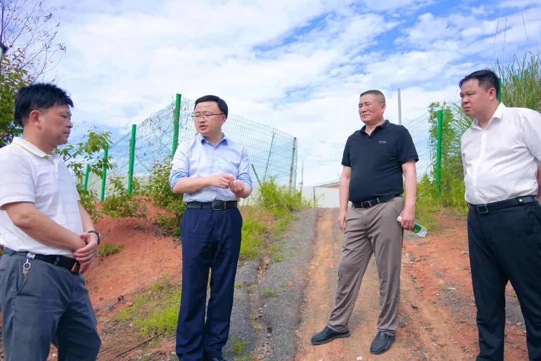 中央生态环保督察 | 郴州各县市区全力配合中央生态环保督察工作