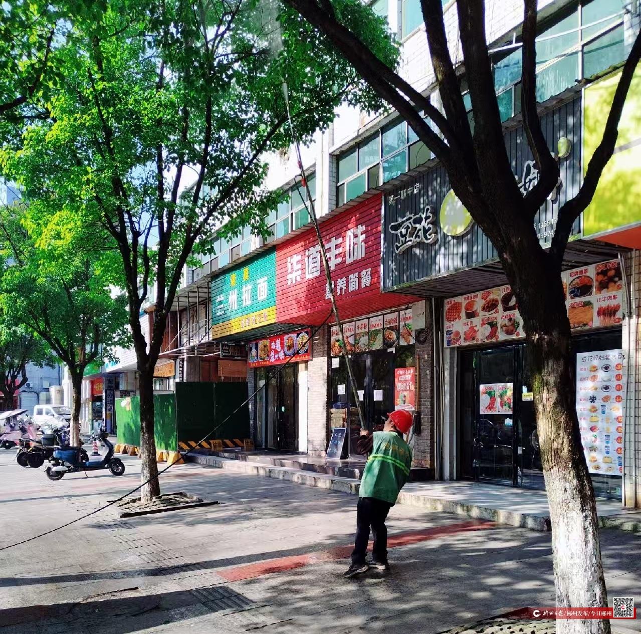 PG电子网址绿化带“毛毛虫”扰民 园林部门迅速“除虫”解民忧(图1)