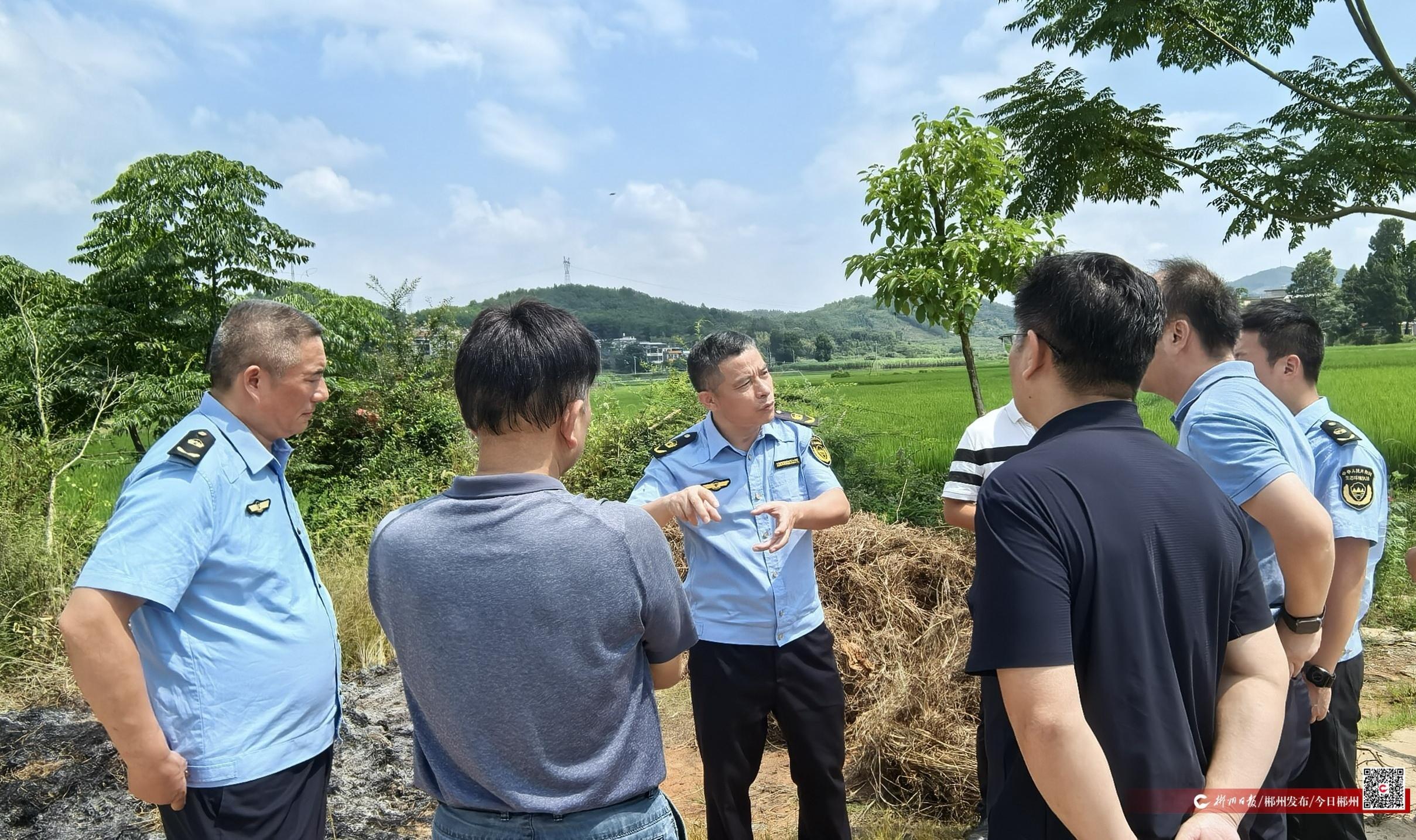 省第四生态环境保护督察组副组长王盛才赴宜章调研秸秆禁限烧管控工作(图1)